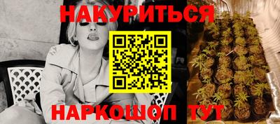 сатива Тула