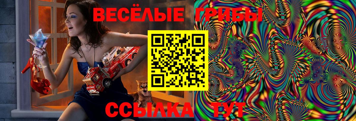 Псилоцибиновые грибы Cubensis Междуреченск